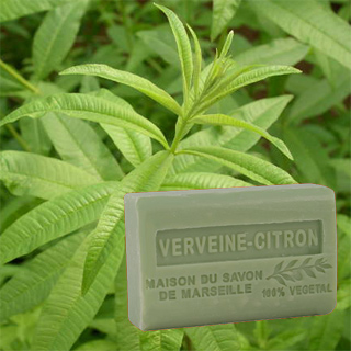 Verveine/Zitronen Seife Marseille