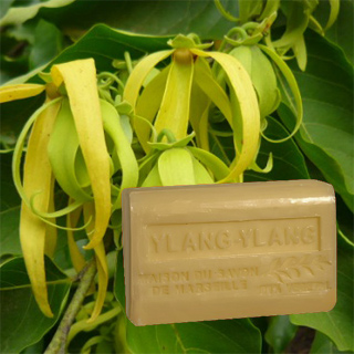 Ylang Ylang Seife Marseille